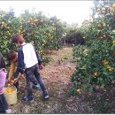 승우농장 이미지