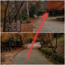 휴양림 입구 ~ 흑석산자연휴양림 이미지