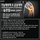 기능해부학 & 운동역학 functional anatomy & kinesiology - 슬관절 knee joint 2015.04.20(월) 이미지