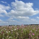 창내리 쉼터 이미지