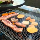 문식농장 | 애견동반여행 문경미식캠핑 2일차 바베큐 불멍 프리스비 공연
