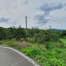 오봉리농장 이미지