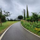 손별농장 이미지