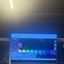 시원게스트하우스 | 부산 게스트하우스 부산 파티게스트하우스 솔직후기<모이지게스트하우스>