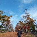 박제상기념관 네이버블로그