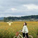 대표코스/역사관광코스/테마관광코스 | 가을여행지 부여 비단가람온길 자전거 여행 힐링코스 추천
