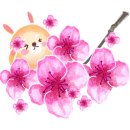 신바람포차 네이버블로그