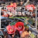 모두모텔 | [강진 1일차] 다산이 걷던 그 길에 동백 아름답게 지다.