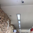 강원도 정선 하이원 스키장 솔직후기