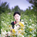 숲피아