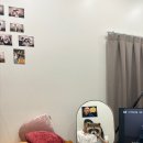 대구사진관스튜디오CK