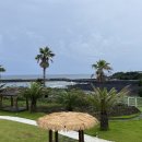 표선면-12 이미지