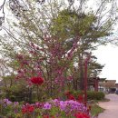 퍼시픽펜션 이미지