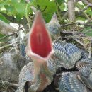 시진농장 이미지