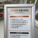 우주 | 건대 놀거리 이색카페 고양이 카페 [우주로캣] 후기