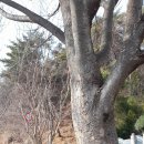 시부림터 이미지