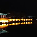 안압지농장 이미지