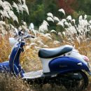 자연의 미학 이미지