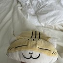 유림-28 이미지