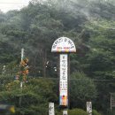 박터진 흥부네 이미지