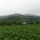 매봉(353m).정안산(鄭晏山448m).깃대봉(437m/곤양459m).정안봉(390m).늘봉산(269m)/경남 하동 이미지