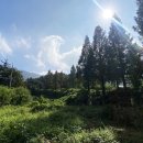 지평보건지소 이미지