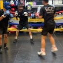 Bee Boxing Gym 이미지