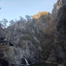 신촌공원 | 주왕산 국립공원 + 원조신촌식당 후기!