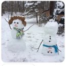 데굴데굴