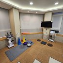 라뽀동물병원 | [공지] 용인수지동물병원 추천, 좋은 동물병원 찾아서 정착하는 방법