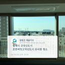 정도약품 | 평택 고덕 호반써밋고덕신도시 39평 외창 물때 제거 작업 후기(약품 세정 44만 원 비용 안내)