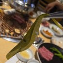 우리목장(1) | 여수학동맛집 지노한우목장 본점, 둘이서 고기 1kg 뿌시고 온 재방문 후기