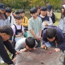 보물찾기 이미지