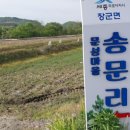 장군면보건지소 네이버블로그