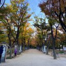 중앙어린이공원 화장실 이미지