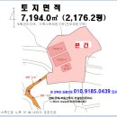 세븐일레븐 포천가채리점 이미지