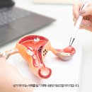 센텀산부인과