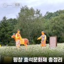 봉평메밀밭 | 2024 강원 평창효석문화제 :: 당일치기로 다녀오기 제격인 봉평 메밀꽃 축제 후기 🌿