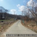 만선공인중개사사무소 이미지