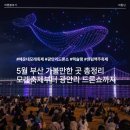 뉴게임즈 | 5월 부산 가볼만한곳 총정리 해운대 모래축제부터 광안리 드론쇼까지