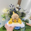 마이독 이미지