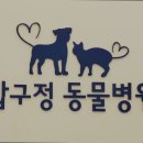 압구정동물의료센터 네이버블로그