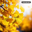 나무미술교습소 - 양평군 북부길 13 | 나무미술교습소