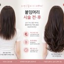 강민정 헤어 | 부산시청 붙임머리 숏컷 단발도 자연스럽게 스킬땋기붙임머리 후기 강민정헤어