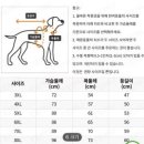 진돗개 | 테무 강아지옷 [진돗개 공룡우비] 내돈내산 후기✨