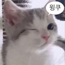 병천황토방순대초당점