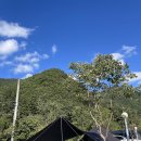 을전56오토캠핑장 | 🏕️단양 을전56오토캠핑장 2번 사이트 후기