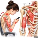 어깨통증, 어깨만 치료하시나요? 상완이두근 Trigger Point와 소흉근의 해부학적 연결성! 이미지