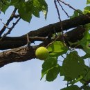 비산 빗물펌프장 이미지