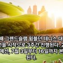 윔블던에 출전하는 한국 테니스 선수는 누구(정현,홍성찬,장수정,한나래 프로필) 이미지